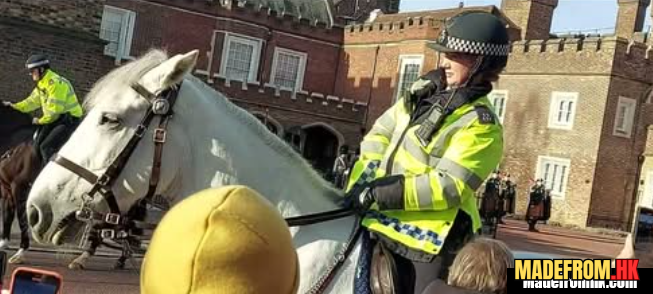 Royal Guards Changing Ceremony at Buckingham Palace London