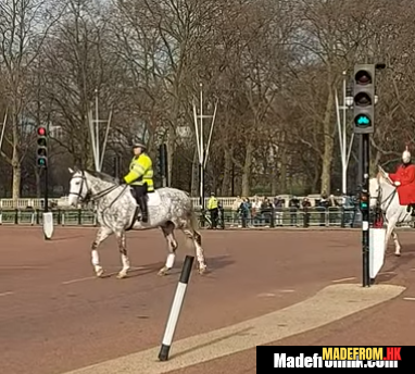 Changing of the Guard ceremony at Buckingham Palace London