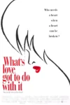 愛情與冒險：蒂娜特納傳奇｜What’s Love Got to Do with It 1993 電影介紹與影評
