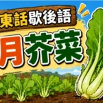 秋季芥菜開始發芽生長的畫面