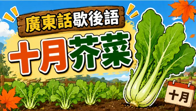 秋季芥菜開始發芽生長的畫面