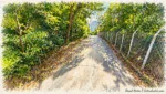 香港安達臣道山坡道路與城市發展景觀