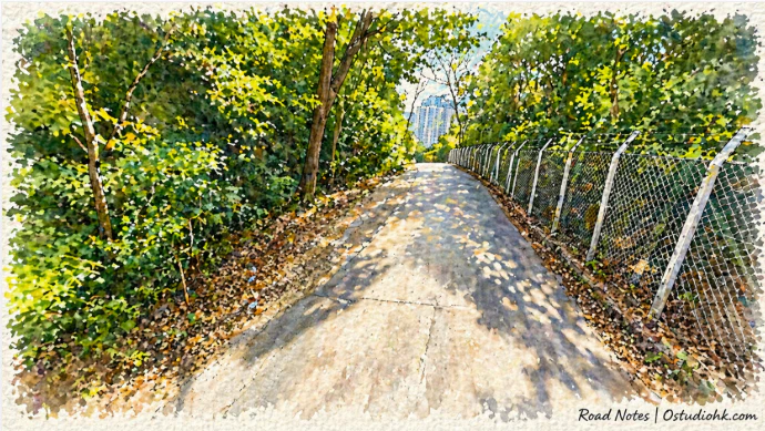 香港安達臣道山坡道路與城市發展景觀