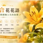 一朵色彩明亮的葵百合在陽光下盛開，象徵希望、幸福與積極人生。