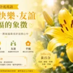 一朵盛開的黃百合綻放於綠葉之間，象徵感恩、快樂、友誼與幸福。