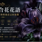 一朵深紫近黑色的黑百合盛開於自然光下，展現神秘、高貴與堅強意志的象徵。