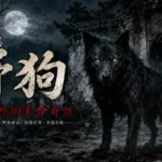 荒廢古寺前出現神秘黑色野狗，月夜中守護亡魂的靈異場景