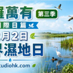 廣闊濕地上有候鳥飛翔，周圍環繞紅樹林、湖泊與蘆葦，展現世界濕地日倡導的生態保育與生物多樣性。