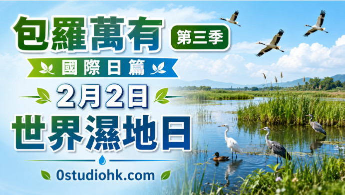 廣闊濕地上有候鳥飛翔，周圍環繞紅樹林、湖泊與蘆葦，展現世界濕地日倡導的生態保育與生物多樣性。