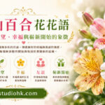 盛開的水仙百合綻放繽紛花朵，象徵純真、希望、幸福與嶄新開始。