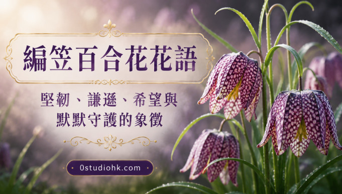 盛開的編笠百合低垂綻放，花瓣帶有獨特棋盤格紋，象徵堅韌、謙遜、希望與默默守護。