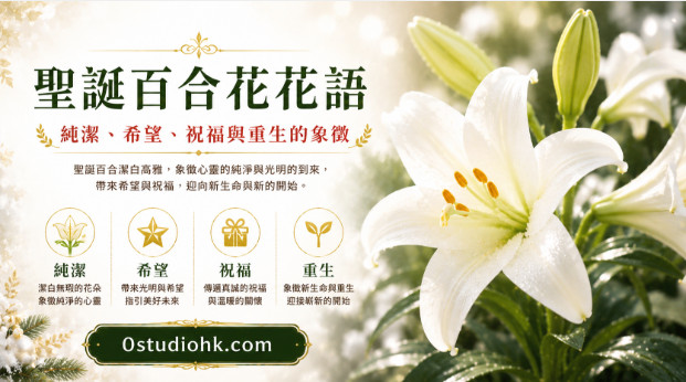 潔白盛開的聖誕百合綻放於綠葉之間，象徵純潔、希望、祝福與重生。