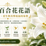 潔白盛開的鐵炮百合綻放修長喇叭形花朵，象徵純潔、希望、重生與真摯祝福。