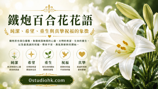 潔白盛開的鐵炮百合綻放修長喇叭形花朵，象徵純潔、希望、重生與真摯祝福。