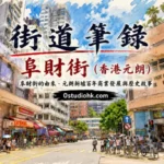 香港元朗阜財街街景，展示商舖、餐廳及元朗市中心繁忙的社區商業街。