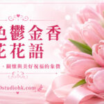 一束盛開的粉色鬱金香綻放柔美花朵，象徵幸福、溫柔、關懷與美好祝福。