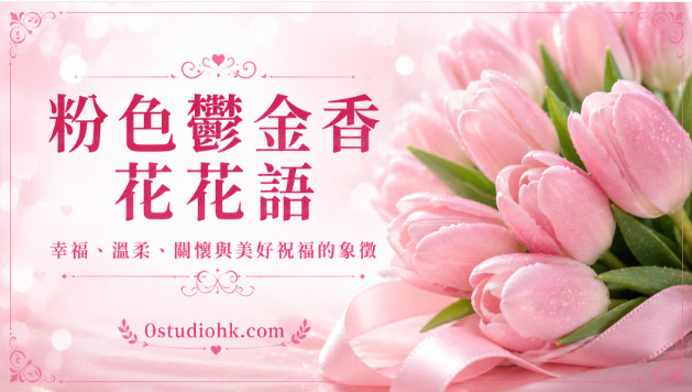 一束盛開的粉色鬱金香綻放柔美花朵，象徵幸福、溫柔、關懷與美好祝福。