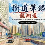龍翔道航拍景觀，展示九龍主要東西交通幹道與獅子山背景。