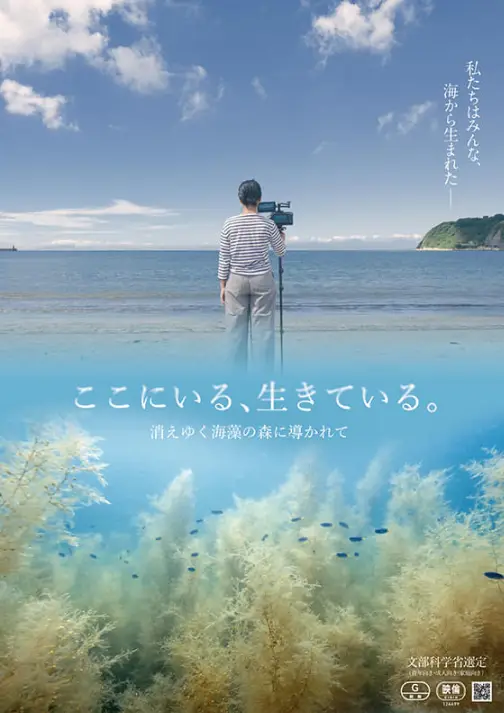 紀錄片《在這裡，活著。被逐漸消失的海藻森林引領》日本海岸與海藻森林