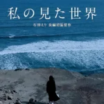 《我所看見的世界》電影海報，以真實案件為背景，描繪一名女性長達近十五年的逃亡人生。